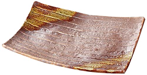 5ZbgD pM [ 35 x 27cm 2100g ] y IM z y   aH HX Ɩp z