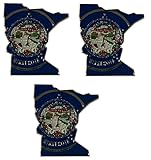 World Flags Direct Pack of 3 State Map Shaped Lapel Pins; Three Tie Pin Badges (Connecticut) (Minnesota)