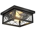 Asnxcju Farmhouse Light Fixtures Ceiling Mount, 2-Light Black Flush Mount Ceiling Light with Clear Glass Shade, Metal Cage Square Close to Ceiling Lamp for Bathroom Kitchen Porch (Bulbs Not Included)