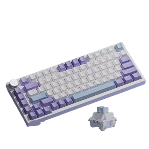 PaVzeGzrH ���J�j�J���L�[�{�[�h AK820 AK820Pro TFT�X�N���[�� ���@�\�m�u �L�� 2.4GHz BT�ڑ� PC�Ή�(AK820�p�[�v��)