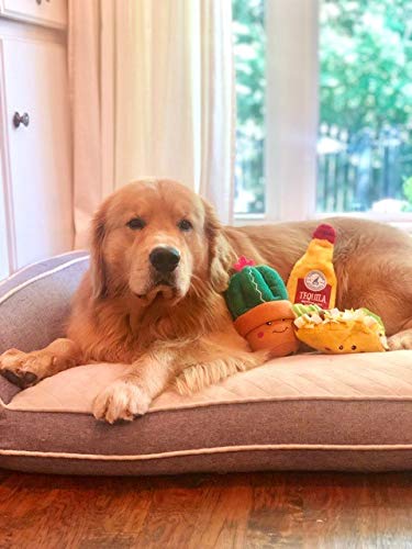 ZippyPaws NomNomz, Tasty Taco - Plush Squeaky Dog Toys for Small & Medium Dogs, Food Shaped Puppy Toys with Squeakers, Food Themed Toys for Small & Medium Dog Breeds - Thumbnail 7