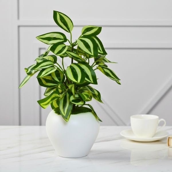 Image of fancymart Artificial Plant Leaves in Apple Pot (30 cm Height) | Small Potted Plant for Office Desk | Home Decor for Living Room | Cafe & Restaurant Table Decoration