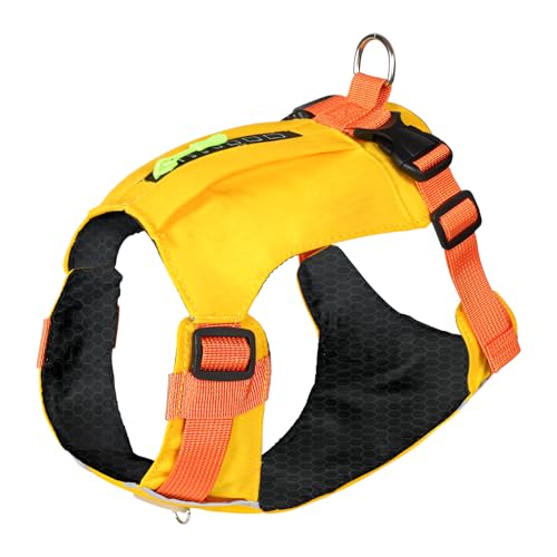 [Luvian] [h  n[lX y|Pbgtz yˑfށz y xXg ^Cv ^ p n[lX  U S ybg pi S fUC