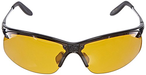 Eagle Eyes Polarized Sport Sunglasses - The PanoVu Style2