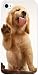 Case Compatible for iPhone 4 4S 4G Cute Little Dog Shaking Hand Hard Unique Designer Slim Pattern Thin Protective Shockproof Drop Proof