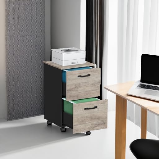 Image of VASAGLE 2-Drawer File Cabinet, Small Rolling Filing Cabinet for Home Office, Printer Stand, for A4, Letter-Size Documents, 15.7 x 16.5 x 27.6 Inches, Heather Greige and Ink Black UOFC040B02