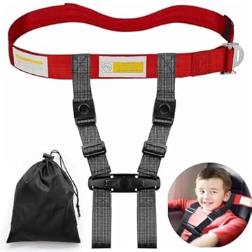 bird harness for airplane travel that will change your journeys 1 bird harness for airplane travel