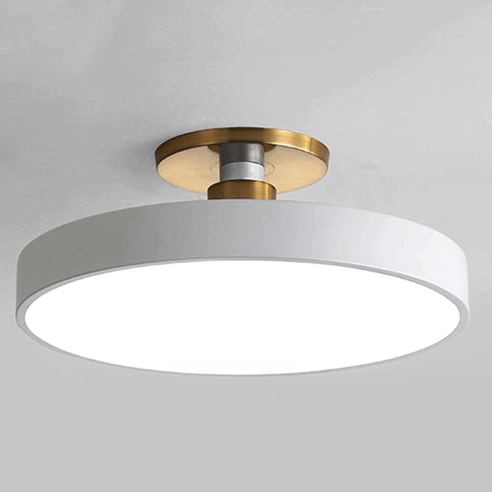 CHENKUI Half Flush Mount LED Ceiling Light 40W Adjustable Tri-color Light Ceiling Lamp Fixture Home Flat Ceiling Lighting Easy Installation Of Round Lights For Corridors, Porch, Balconies