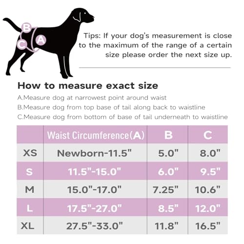 Paw Legend Fraldas laváveis reutilizáveis para cães fêmeas para aquecer fraldas para cachorros fêmea