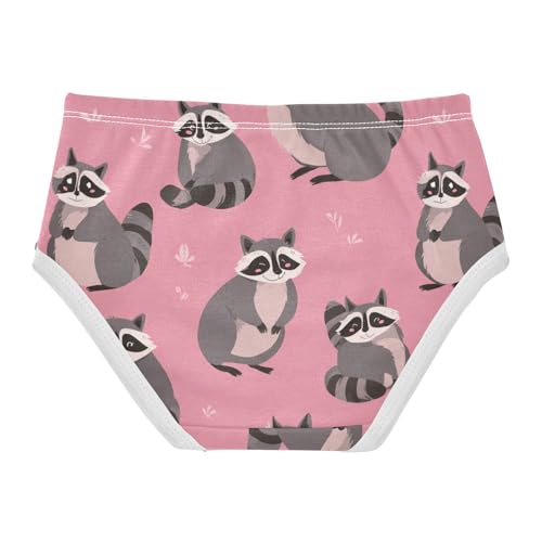 Wusikd Funny Raccoons Girls' Underwear Cotton Girls Briefs Soft Toddler Underwear 2T2