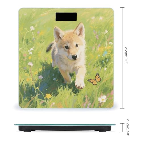 Báscula Digital de Baño Small Wolf con Pantalla LED miniatura 2