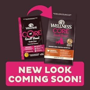 Wellness Pure Pet Meals CORE Pure Grain-Free Small Breed Turkey & Rooster Dry Canine Meals for Grownup Canines, Excessive-Protein, USA-Made with Actual Meat, 12-Pound Bag Wellness Pure Pet Meals CORE Pure Grain-Free Small Breed Turkey & Rooster Dry Canine Meals for Grownup Canines, Excessive-Protein, USA-Made with Actual Meat, 12-Pound Bag