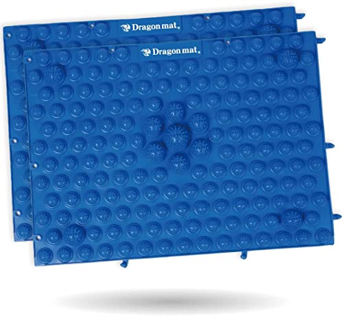 マッサージ屋さんの健康マット ドラゴンマット 足踏み 足ツボ (2枚セット ブルー)