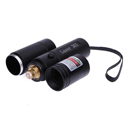 LUCHENG Green Demonstration Presentation Pen,Tactical High Power Long Distance Light with Safety Keys