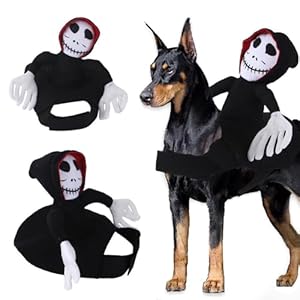 Pet Riding Costume Novelty Pet Supplies Ghost Rider Horse Riding Designed Dog Cats Apparel Party Dressing up Clothing Halloween (XL)