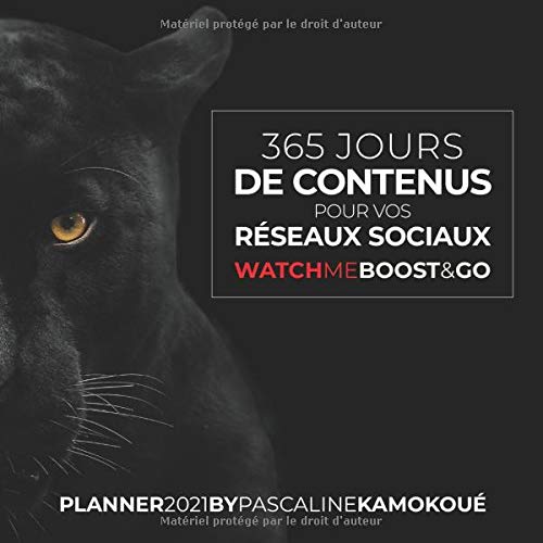 Télécharger 365 JOURS DE CONTENUS POUR VOS RÉSEAUX SOCIAUX - PLANNER 2021 WATCH ME BOOST & GO: CALENDRIER EDITO Livre eBook France