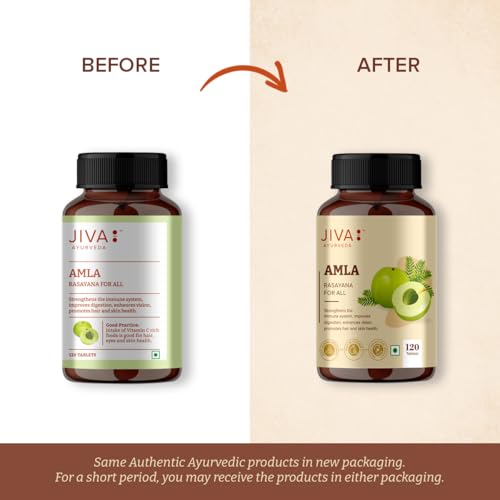 Image of Jiva Amla Tablets 100% Pure Herbs Used, Rich In Vitamin C Good For Digestion & Overall Health - 120 Tablets (Pack of 2)