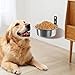 Machify Wall-Mounted Dog Feeding Bowls, Elevated 8-Inch Metal Bowls for Mid-Sized Dogs, Sturdy Stands, Adjustable Heights, Easy Installation for Both Dry and Wet Food
