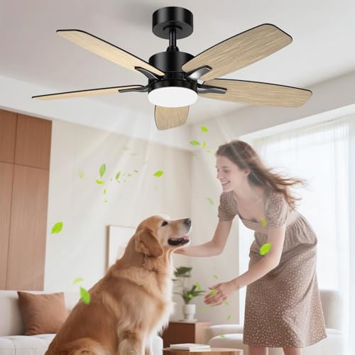 Airwit 106cm Ventilateur de Plafond Silencieux avec Lumière, Télécommande et Moteur Réversible DC pour Chambre, Salon et Cuisine