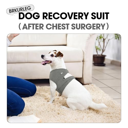 Image of BRKURLEG Chest Recovery Suit for Dogs, Chest Wound Cover, Grey S | Chest & Shoulder Protection, Breathable & Soft Anti-Licking Wound Vest, for Chest Surgery Recovery, Cone Alternative