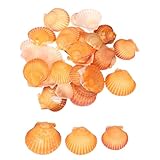 Matériau- Coquilles Saint-Jacques choisies dans des baies naturelles, sélectionnées à la main dans l'océan. Chaque coquille blanche en forme d'éventail est une sélection manuelle méticuleuse. Le processus artisanal de nettoyage et de polissage préserve leur grain naturel et leur lustre blanc. Sans aucune senteur, ces coquilles ne nécessitent aucune amélioration artificielle—leur apparence naturelle parle d'elle-même.