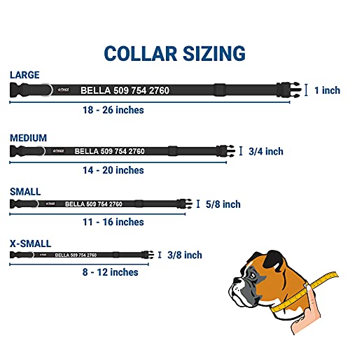 Gotags Personalized Dog Collar With Nameplate, Adjustable Dog Collar With Custom Engraved Slide On Pet Id Tag In Stainless Steel, Silent, No Noise Dog Id Tag (Black, X-Small) #TOP4