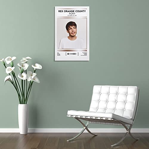 Poster Rex Orange County grande toile anti-reflet pour mur vide - 5
