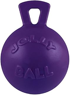 Jolly Pets Tug-n-Toss Heavy Duty Dog Toy Ball with Handle, 8 Inches/Large, Purple