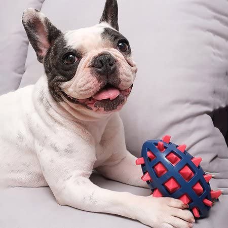 Petlicious & More® Spikey Shell Rugby Toy Ball for Dogs | Rubber Squeaky Toy Ball for Dogs | Chew Toy for Dogs | Teething Toy for Puppies (Pack of One, Color May Vary)