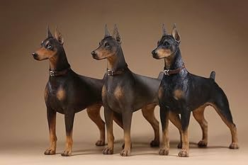Amazon.com: WLNTDOLA Mr.Z Studio 1:6 Scale Dobermann Figure
