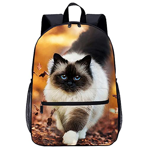 Sac à dos imprimé chat pour enfants et adultes - Sac de voyage et scolaire 45x30x15cm