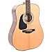 Takamine GD30 Left-Handed Acoustic Guitar