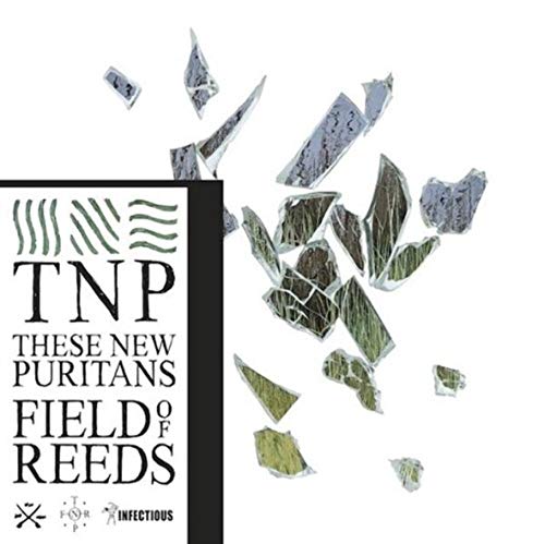 Field of Reeds