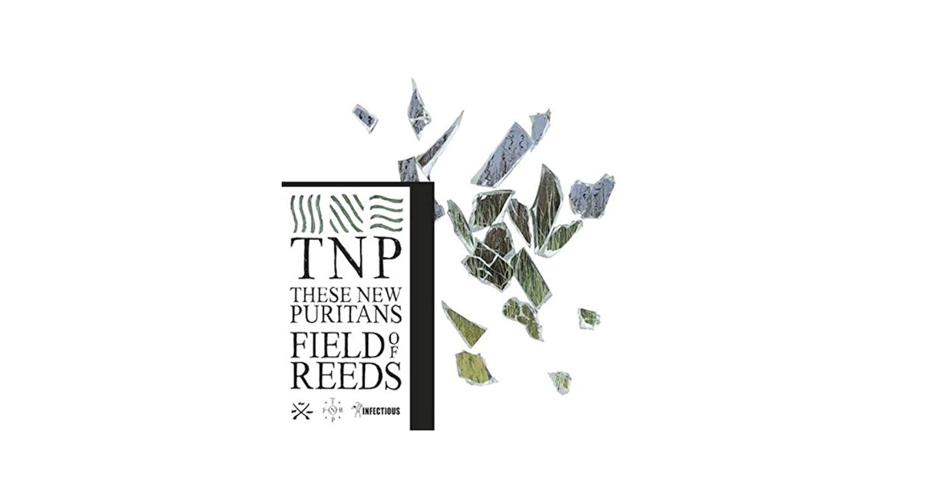 欧2LP These New Puritans Field Of Reeds INFECT156LPR Infectious Music /00520 These New Puritans – Field Of Reeds – 2 x Vinyl (Album