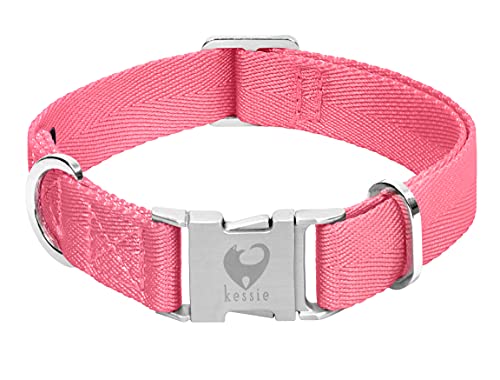 Kessie Upgrade Nylon Hundehalsband mit Metallschnalle Haustier Welpenhalsband für kleine, mittelgroße und große Hunde Cover