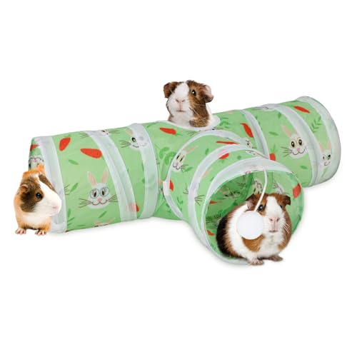 pets ferret toys