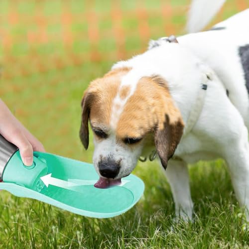 Bouteille d'eau pour chiens et chats pour prendre soin de lui en extérieur