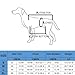 Hundehebegeschirr, Tragegeschirr für Hunde, Tragegeschirr Hund Hebegeschirr für Hunde, Stützgeschirr für Hinterbeine von Hunden mit Griffen