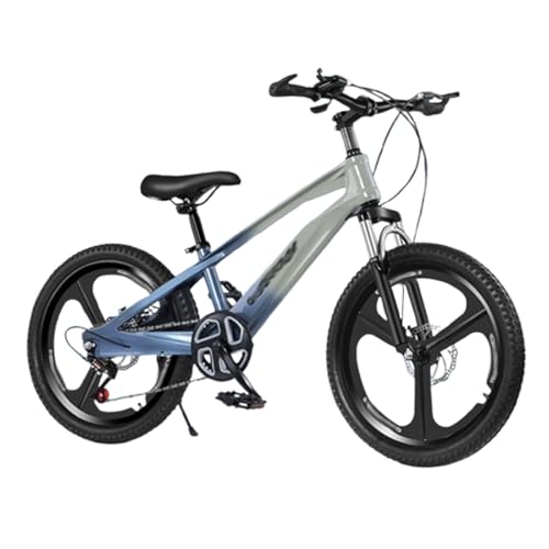 ] qp] ̐` X[YŐÛȂSn fAfBXNu[L V[g ω׏d ϏՌ ~߂ƑϖՐ ߉\(,20 inches)