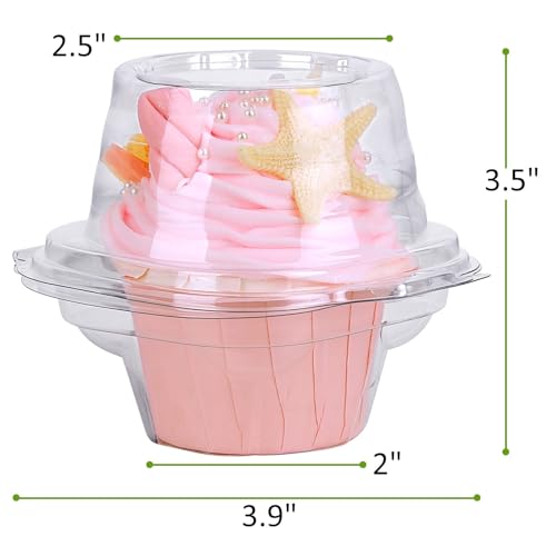 HIMETSUYA Cupcake Boxes Individual Cupcake Containers, 50 Packs Regular Single Cupcake Holder High Topping for Muffins, Thicker Stackable Plastic Cupcake Carrier for Party (50 pack)