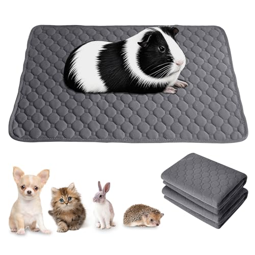 APKOL 2 Pcs 60x40cm Tappetini per Gabbia per cuccioli, Tappetini Igienici per Cani Lavabile e Riutilizzabile per cuccioli,gattini,conigli,hamster,maiali olandesi e altri piccoli animali