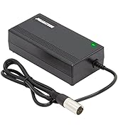 Ladegerät für Derby Cyle Impulse 36V BC1142-E (4-polig XLR) - 42,0V 3,0A