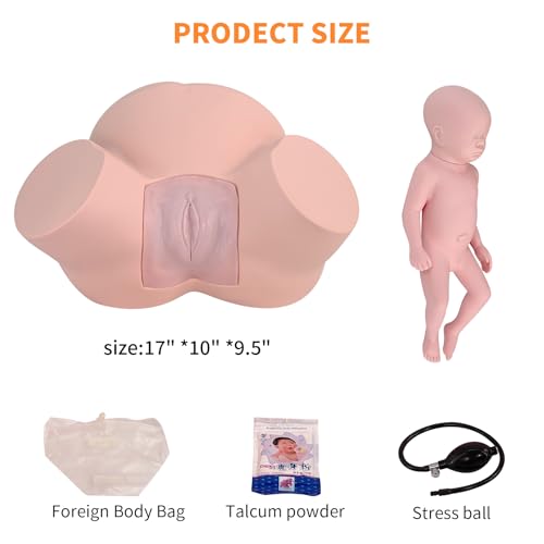 Image of Birth Midwifery Training Model Simulator, Life Size Childbirth Demonstration Obstetrics Gynecology Normal Abnormal Fetal Positions Delivery Maternity Manikin for Teaching Medical