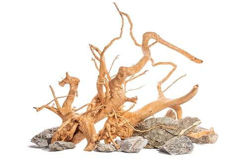 Image of Driftwood for Aquarium Medium Size 1Pcs | Natural Aquarium Decor Driftwood | Random Shape and Style Medium Size 1Pc