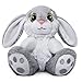 Nleio 2 Peices Bunny Stuffed Animals, 8.5 Inches Plush Bunny with Floppy Ears, Super Soft Rabbit Plush Toy, Cute Stuffed AnimalGift for Age 1 to 14 Years Old Baby Girls Boys Companion (Pink + Gray)