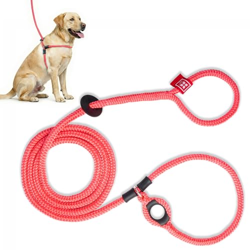 Harness Lead No Pull Dog Harness and Leash Set, Anti Pull Dog Harness for All Breeds and Sizes, One-Piece Cushioned Rope Design Safely Prevents Escaping and Pulling (Medium/Large, Pink)