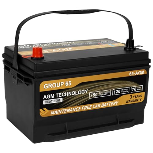 Daakmax Platinum AGM Car Group 65 Battery - 12V 70Ah 750 CCA 120 RC Rechargeable Start-Stop Automotive Battery with 36-Month Warranty