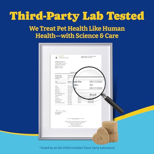 Image of Probiotics for Dogs - 6 Billion CFUs, Dog Probiotics with Prebiotics & Digestive Enzymes for Gut, Immune & Skin Health - Turkey & Pumpkin Flavor, 180 Soft Chews