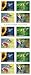 United States Postal Service Garden Delights (Booklet of 20) First-Class Mail Forever Postage Stamps Scott #5845-5848