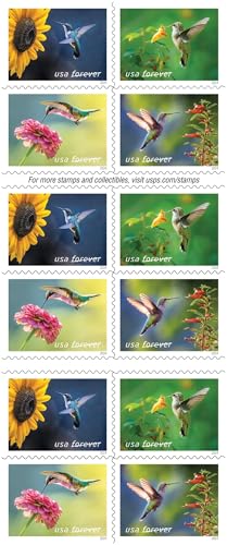 Collection United States Postal Service 5845-5848 Scott 2024